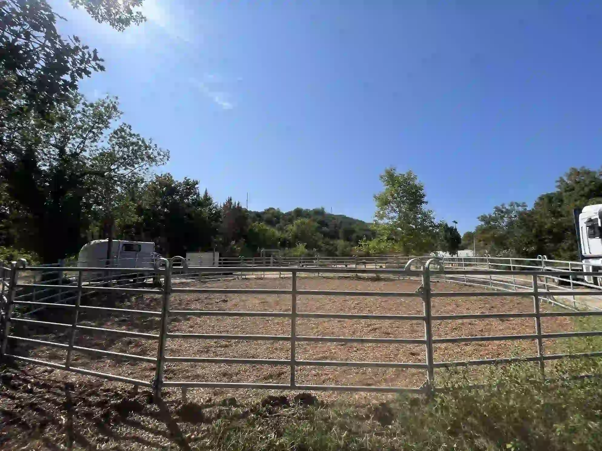 Centre équestre Nébian - Structure et chevaux - 19
